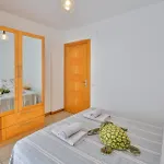 Apollo Apartamento
